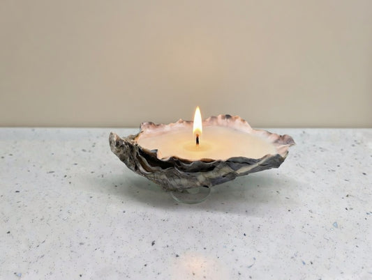 Medium Oyster Candle